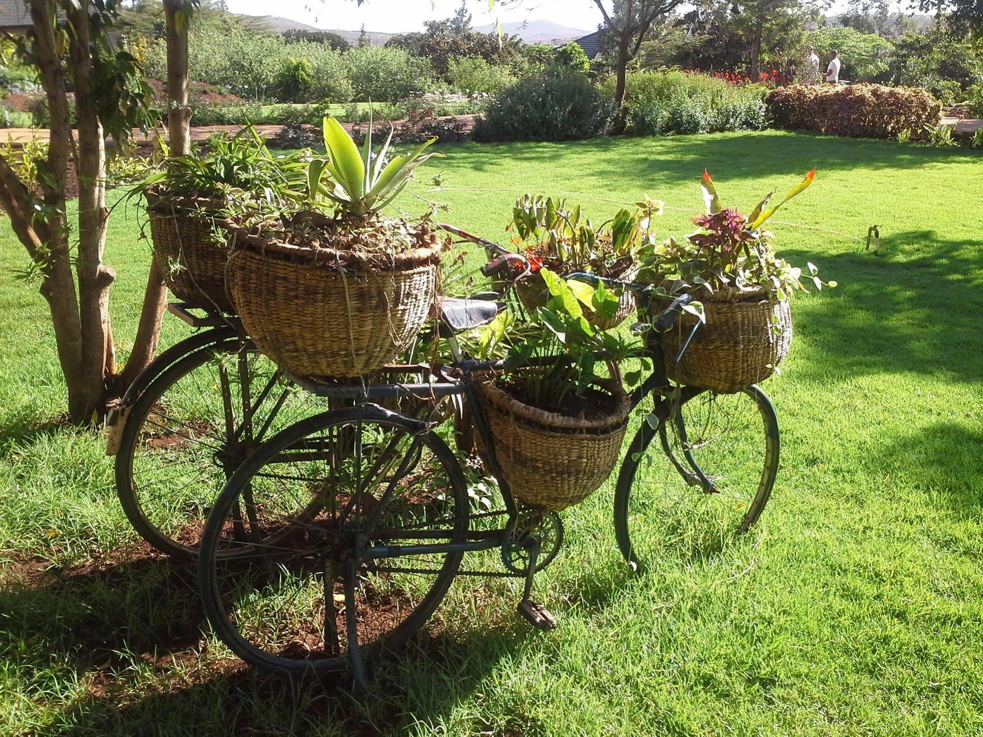 Acacia Farm Lodge Ngorongoro ภายนอก รูปภาพ